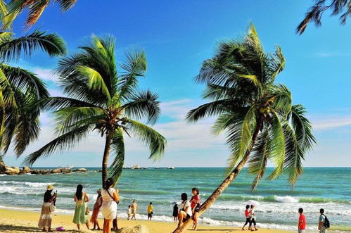 海南特色旅游小鎮文化旅游項目開發策略研究